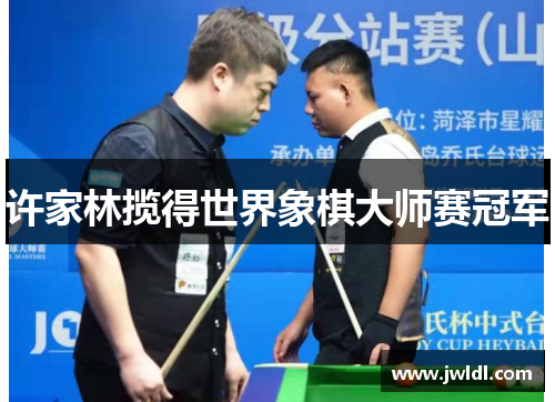 许家林揽得世界象棋大师赛冠军